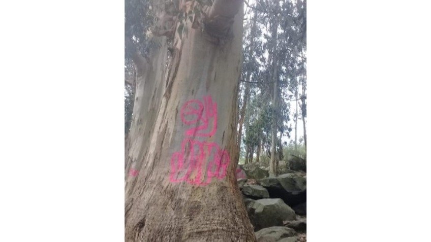 Vandalismo en la sierras